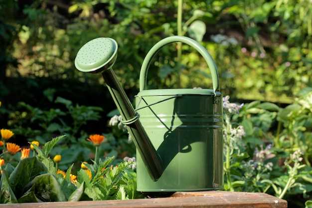 Extendable Spout Attachment: Reach Every Corner of Your Garden