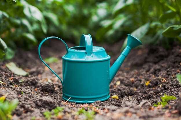 Solar-Powered Watering Can: Harnessing the Sun's Energy