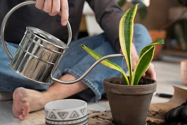 Understanding the Watering Needs of Indoor Plants