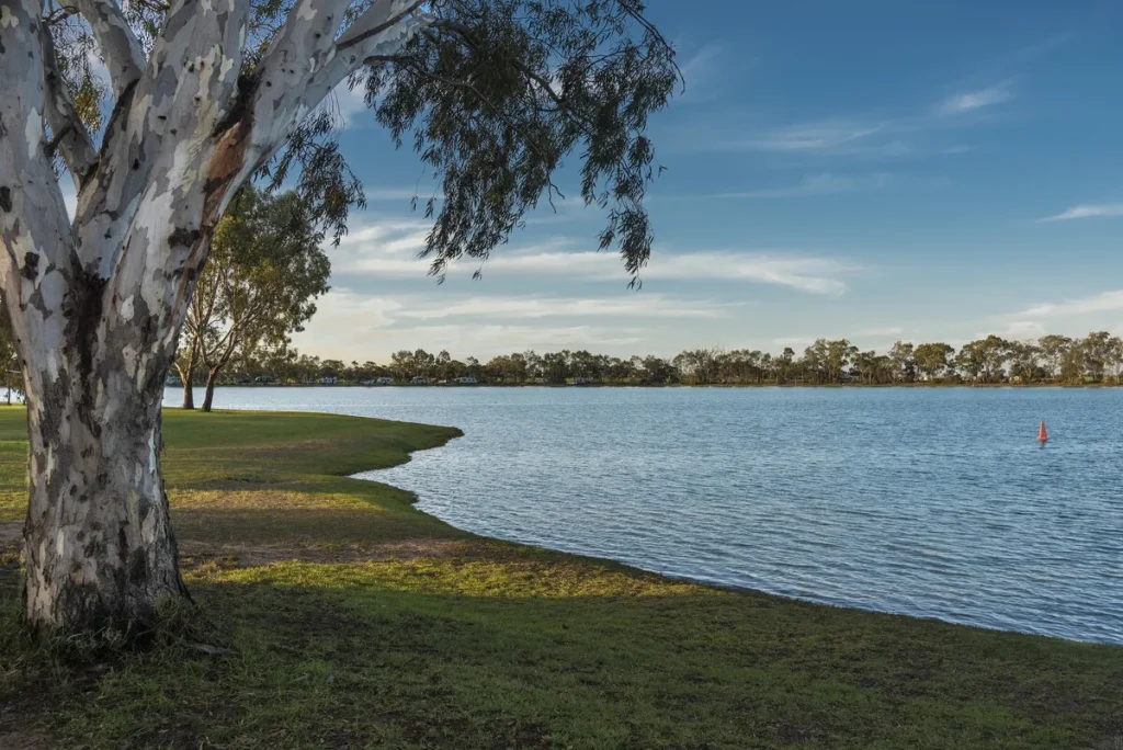 Camping Sites Along the Great Ocean Road