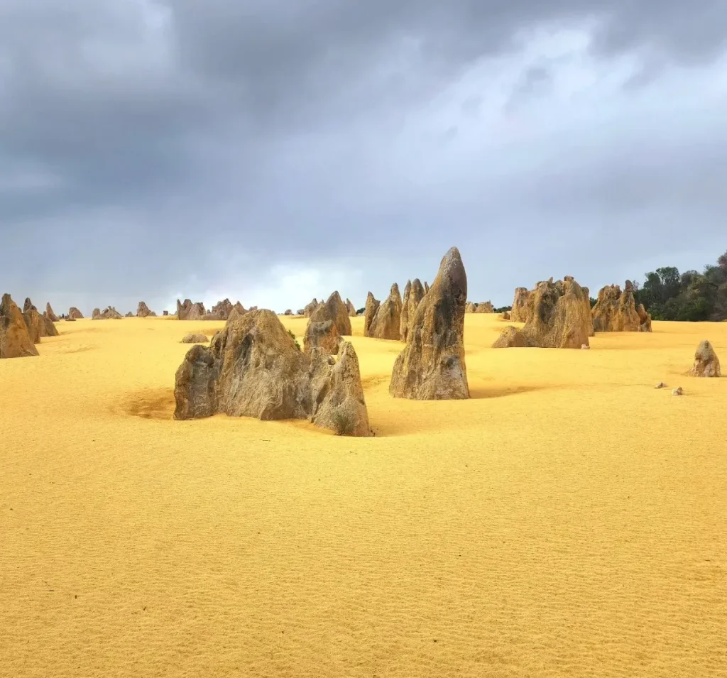 Pinnacles Desert