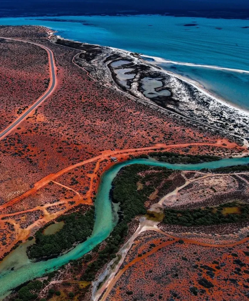 shark bay