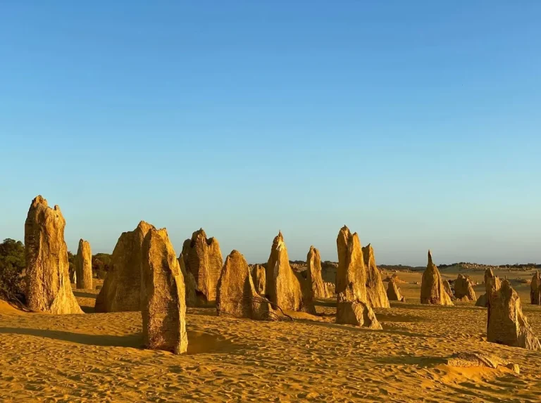 Unveiling the Mysteries of the Pinnacles Desert