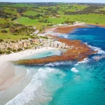 Discover the Unique Marine Life of Kangaroo Island’s Snorkeling Spots