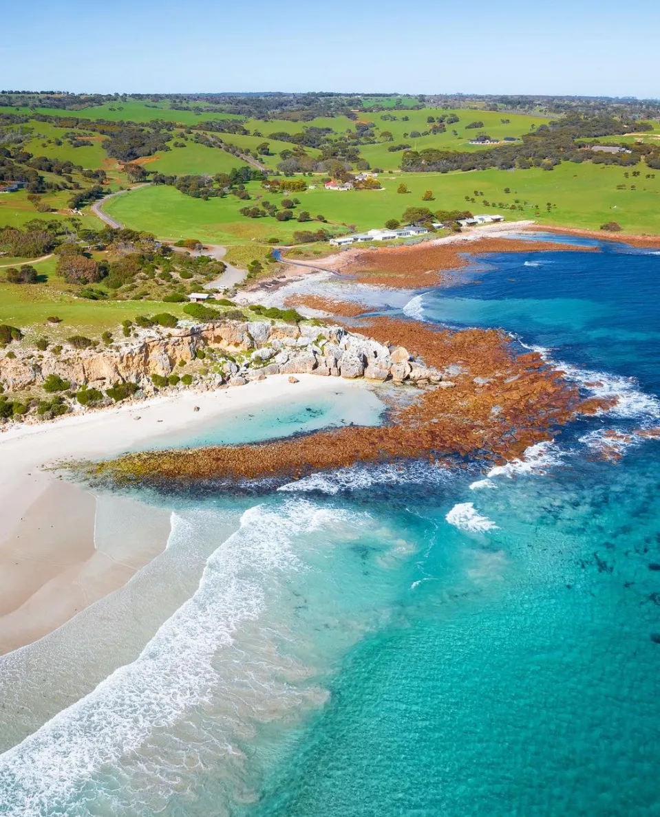 Discover the Unique Marine Life of Kangaroo Island’s Snorkeling Spots