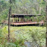 Yoga and Meditation Retreats Near Uluru