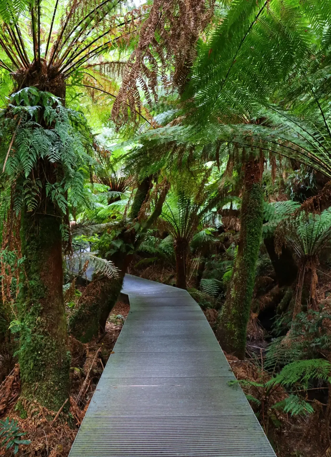 best time visit great ocean road winter
