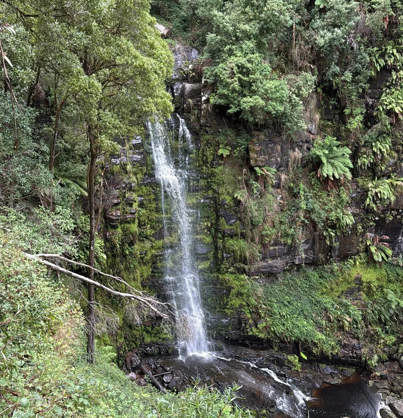 great ocean road winter itinerary
